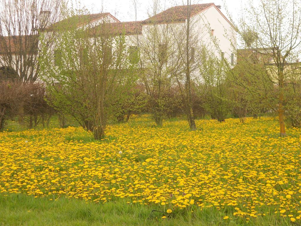 Villa Gaudio Ponte San Nicolo Luaran gambar